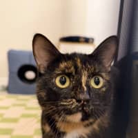 Photo of Sharon