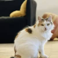 Photo of 💛Cassie💛