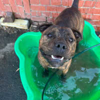 Photo of Ralphy Aka Wreck It Ralph