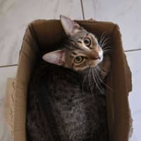 Photo of Oska