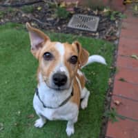 Photo of Chip Douglas