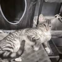 Photo of Bingo