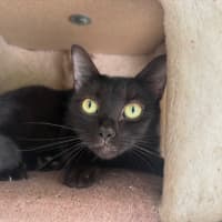 Photo of Tabitha