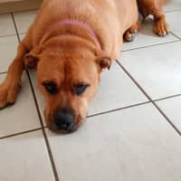 Photo of Freyha