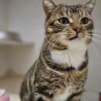 Photo of Cutie Pie