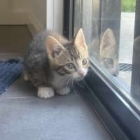 Photo of Blue