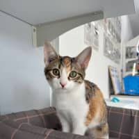 Photo of Gabby