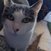 Photo of Rosie