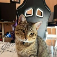 Photo of Nueve (Nui)