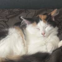 Photo of Rosie Mae