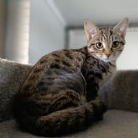 Photo of Charlotte