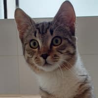 Photo of Roo