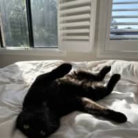 Photo of Monster