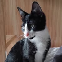 Photo of Victor