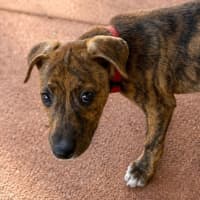 Photo of Candy