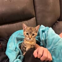 Photo of Daisey