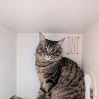 Photo of Bell