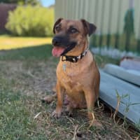 Photo of Maisey