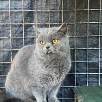 Photo of Fafa And Britt