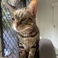 Photo of Little Miss & Yoyo