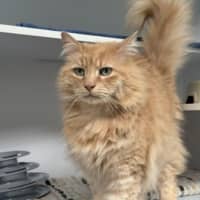 Photo of Precious