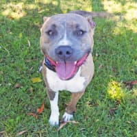 Photo of Storm