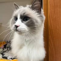 Photo of Mr. Ramekin 