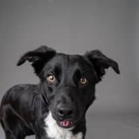 Photo of Minnie