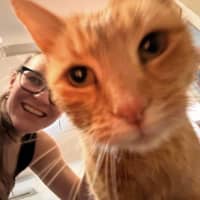 Photo of Waffles