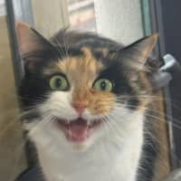 Photo of Jemima   In Foster Care In Ashburton