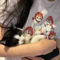 Photo of Moomoo & Bonbon