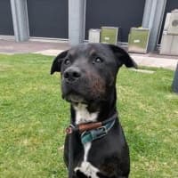 Photo of Junior