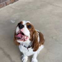 Photo of Tilly