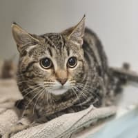 Photo of Mimi