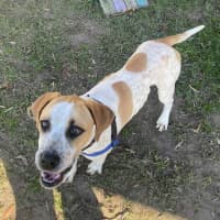 Photo of Casper