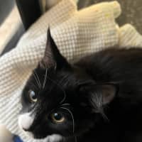 Photo of Cappuccino