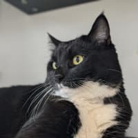 Photo of 🎈 Franklin 5629 🎈