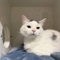 Photo of 😍 Mulley 6716 😍