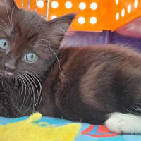 Photo of C1398 Greta