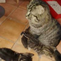 Photo of Nashi (Quinn)