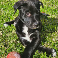 Photo of Cash