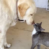 Photo of Edwina & Trixie