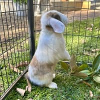 Photo of Prince Harry