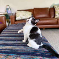 Photo of Marra   Meet Me At Vets On Parker