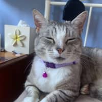 Photo of 💜 Totto 💜