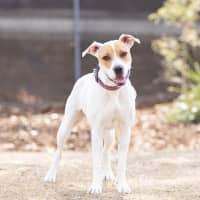 Photo of Marnie