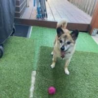 Photo of Leo O’cleary