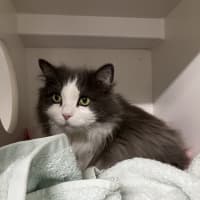 Photo of Peggy