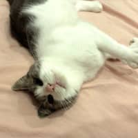 Photo of Alice
