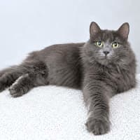 Photo of Penelope